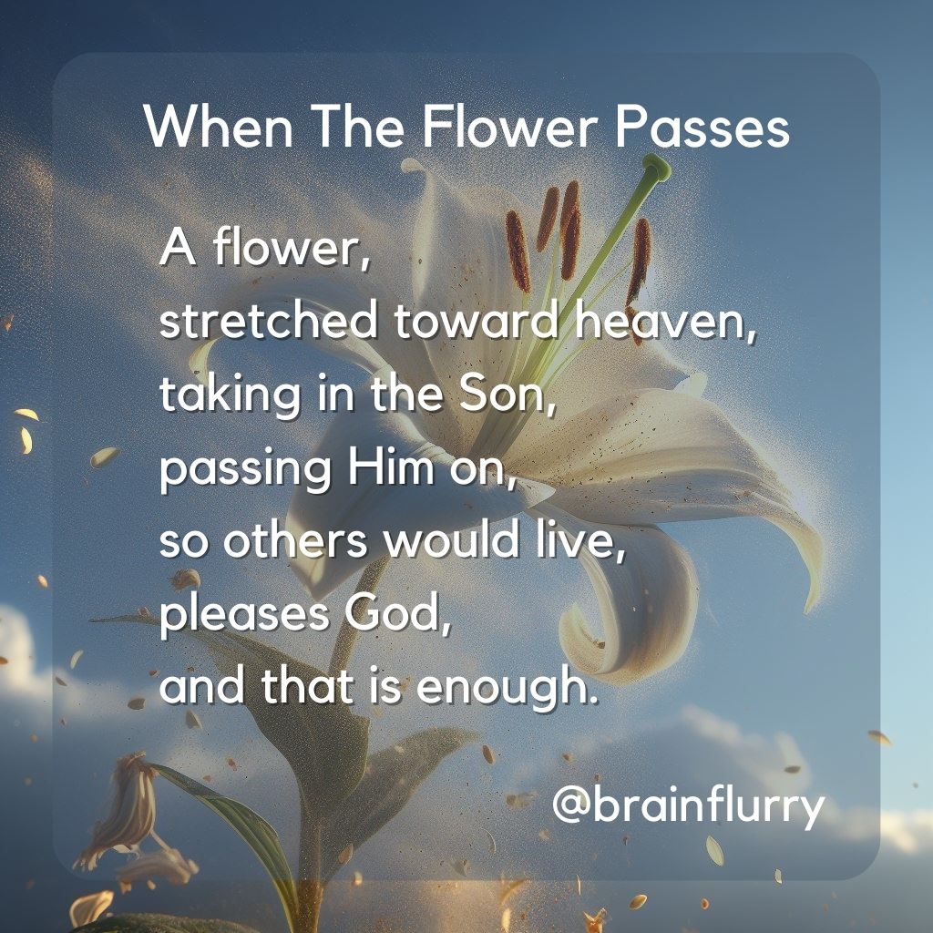 Paul Luckett | Brainflurry.com - When The Flower Passes