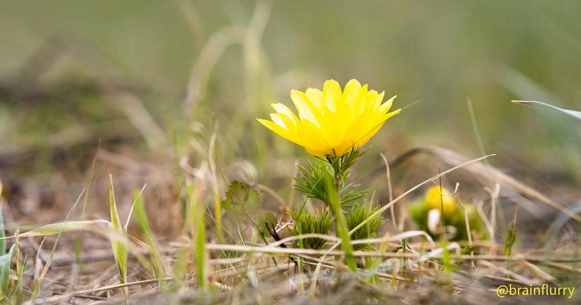 You know what I think makes for a fulfilling life? Creating the beauty you want to see in the…
