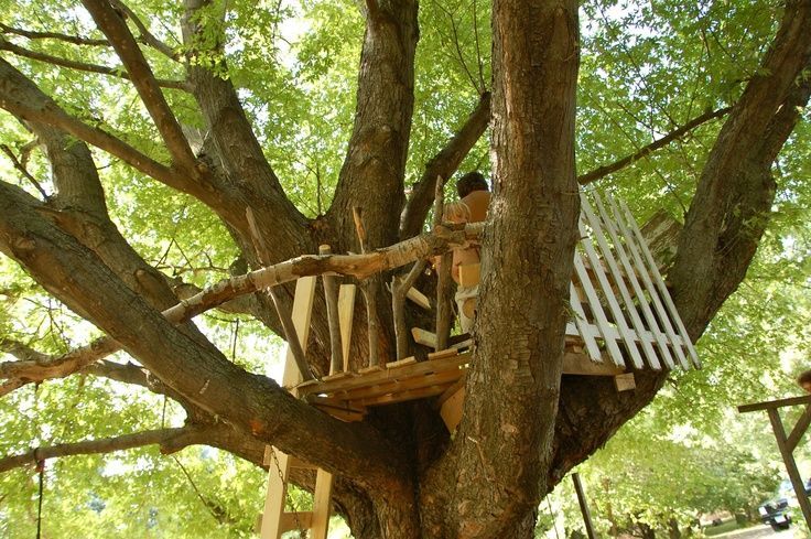 In Week 27 of 52 Weeks of Gratefulness, I give thanks to God for a treehouse in Mississippi. I…
